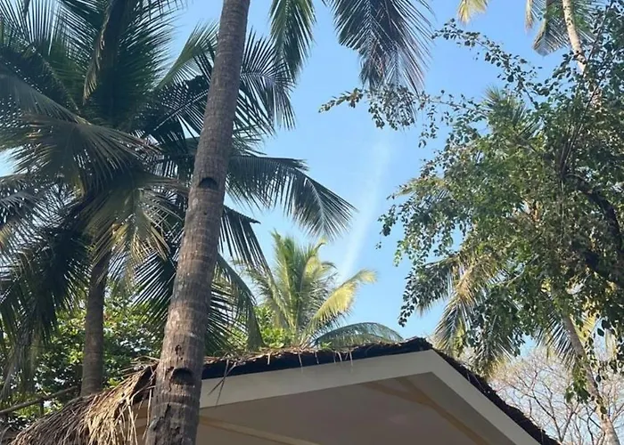 Taste Of Nature
